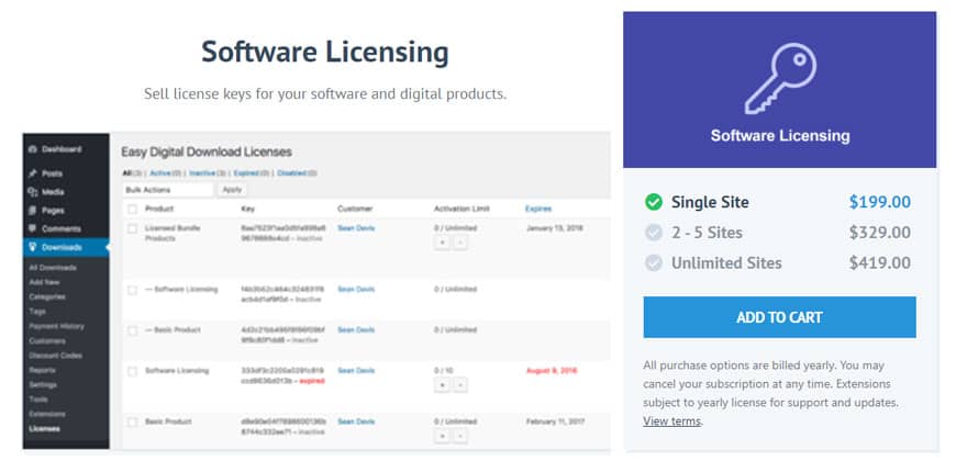 Software Licensing