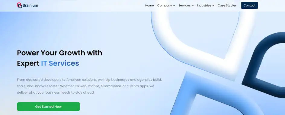 Brainium Information Technologies