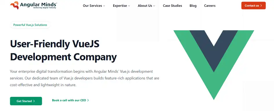 Angularminds - VueJs Development