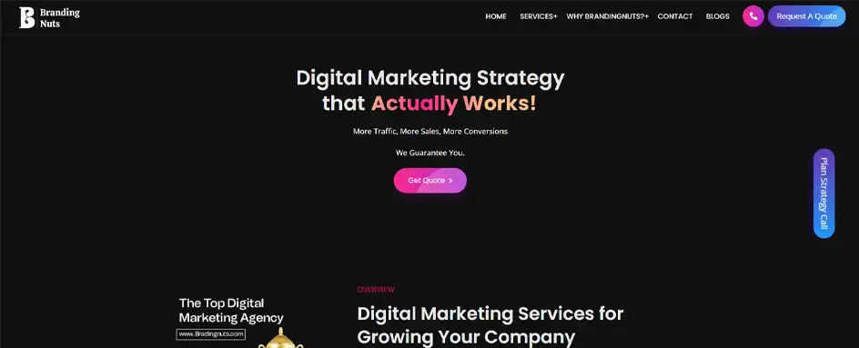 Branding Nuts - Digital marketing