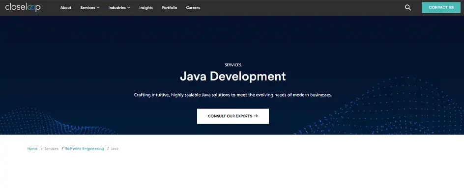 Closeloop - Java Development