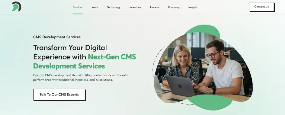 Evince - CMS Development