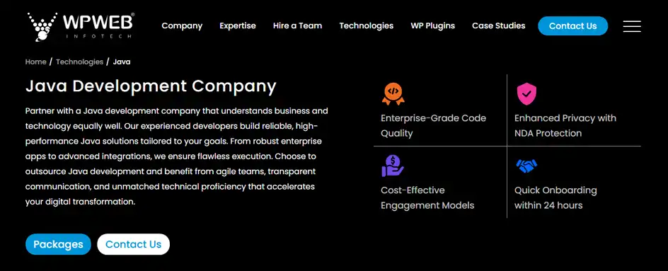 WPWeb Infotech - Java Development