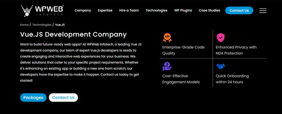 WPWeb Infotech - VueJs Development