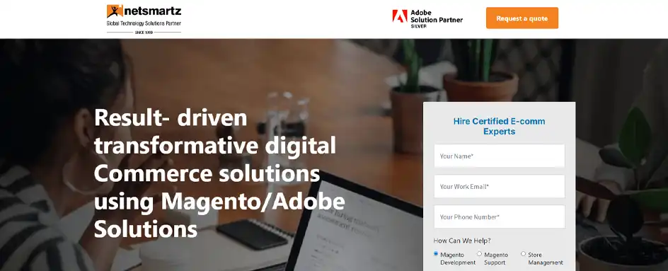 Netsmartz - Magento Development