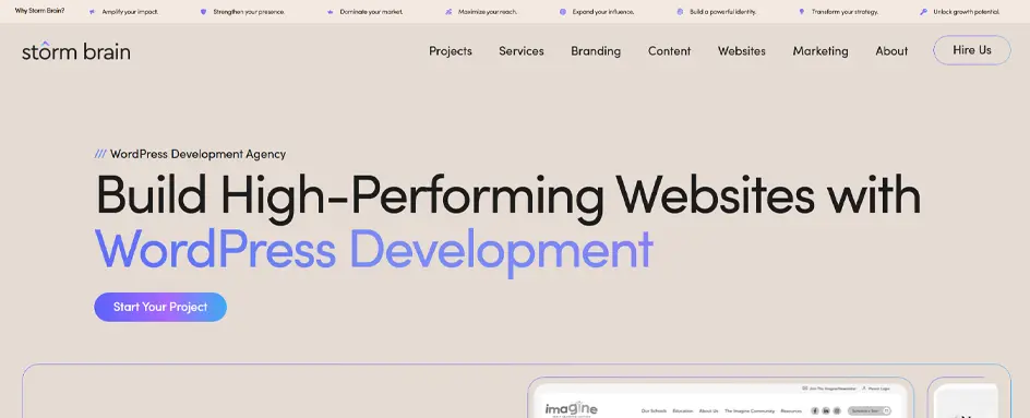 StormBrain - wordpress development usa