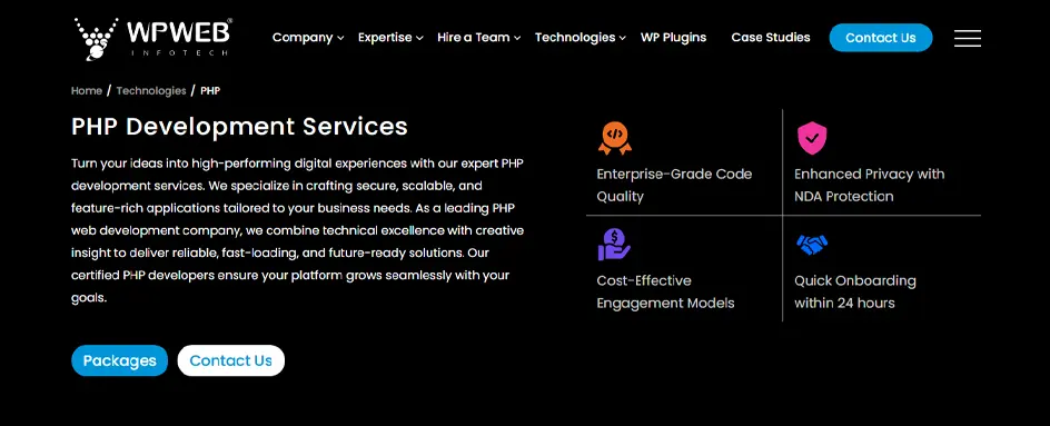 WPweb service page
