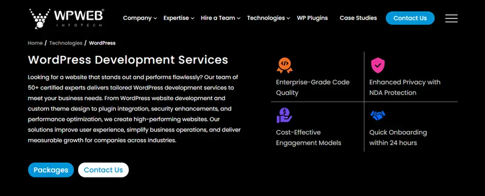 WPWeb Infotech - wordpress development usa