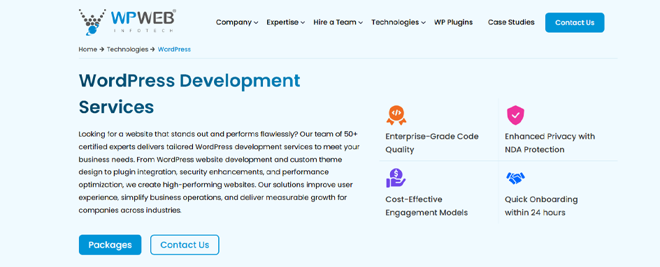 WPWeb Infotech WordPress UAE