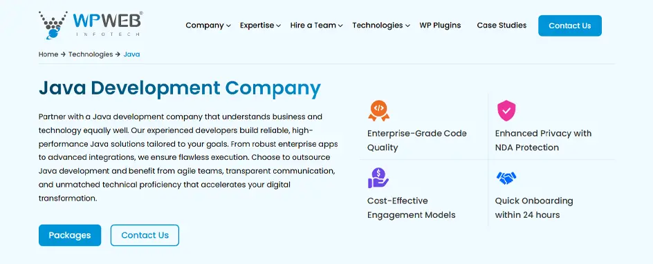 WPWeb Infotech - Java Development