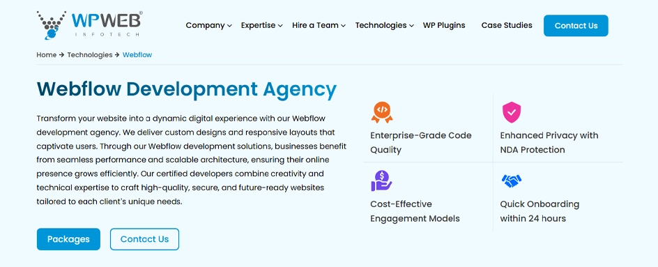WPWeb Infotech Webflow
