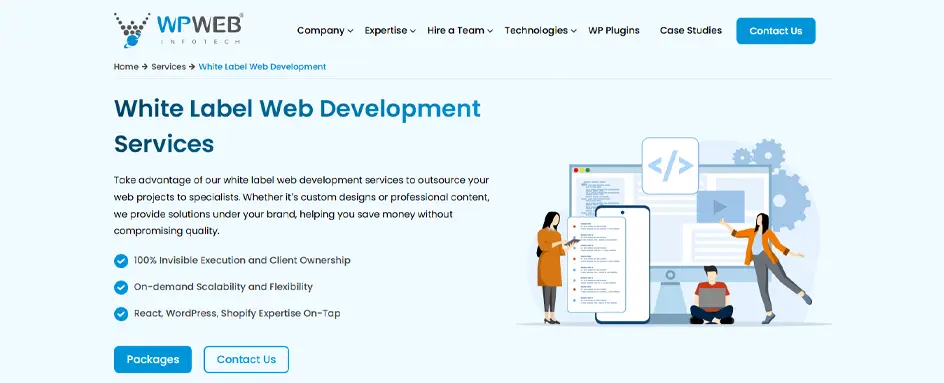 WPWeb Infotech - White label web development